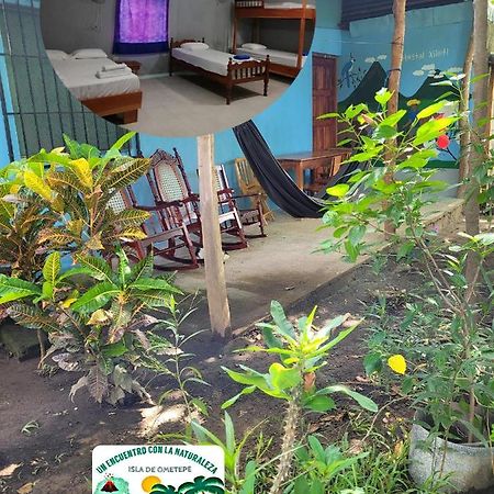 Hostal Xilotl San José del Sur المظهر الخارجي الصورة